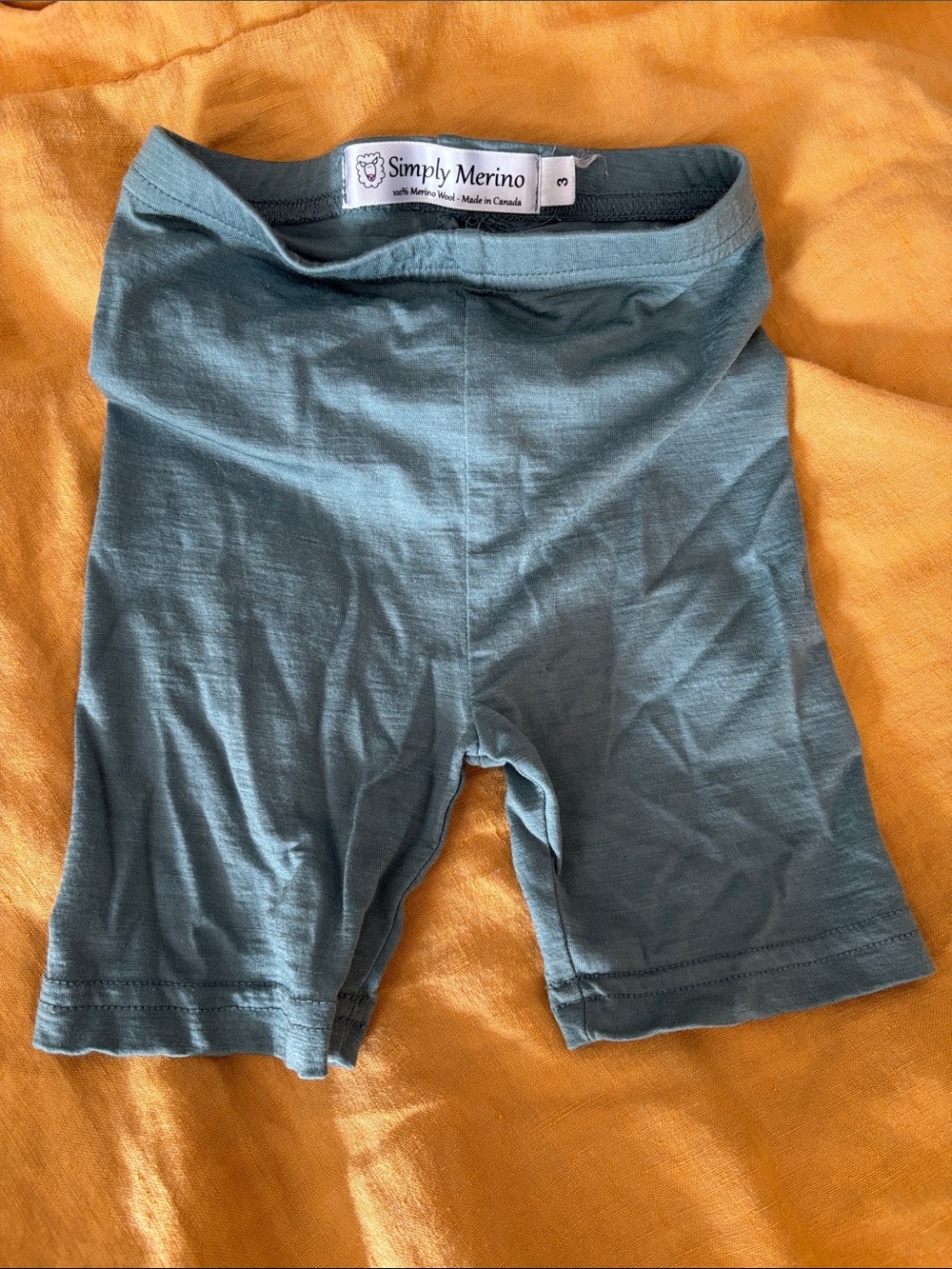 3T Simply Merino Teal Toddler Bike Shorts